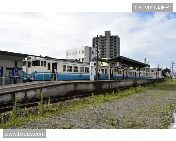 德岛旋涡与京都的魅力对比探索两地文化与自然之美