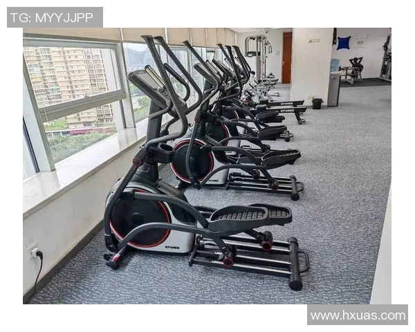 健身器材批发市场推荐及选购指南助你轻松找到优质供应商